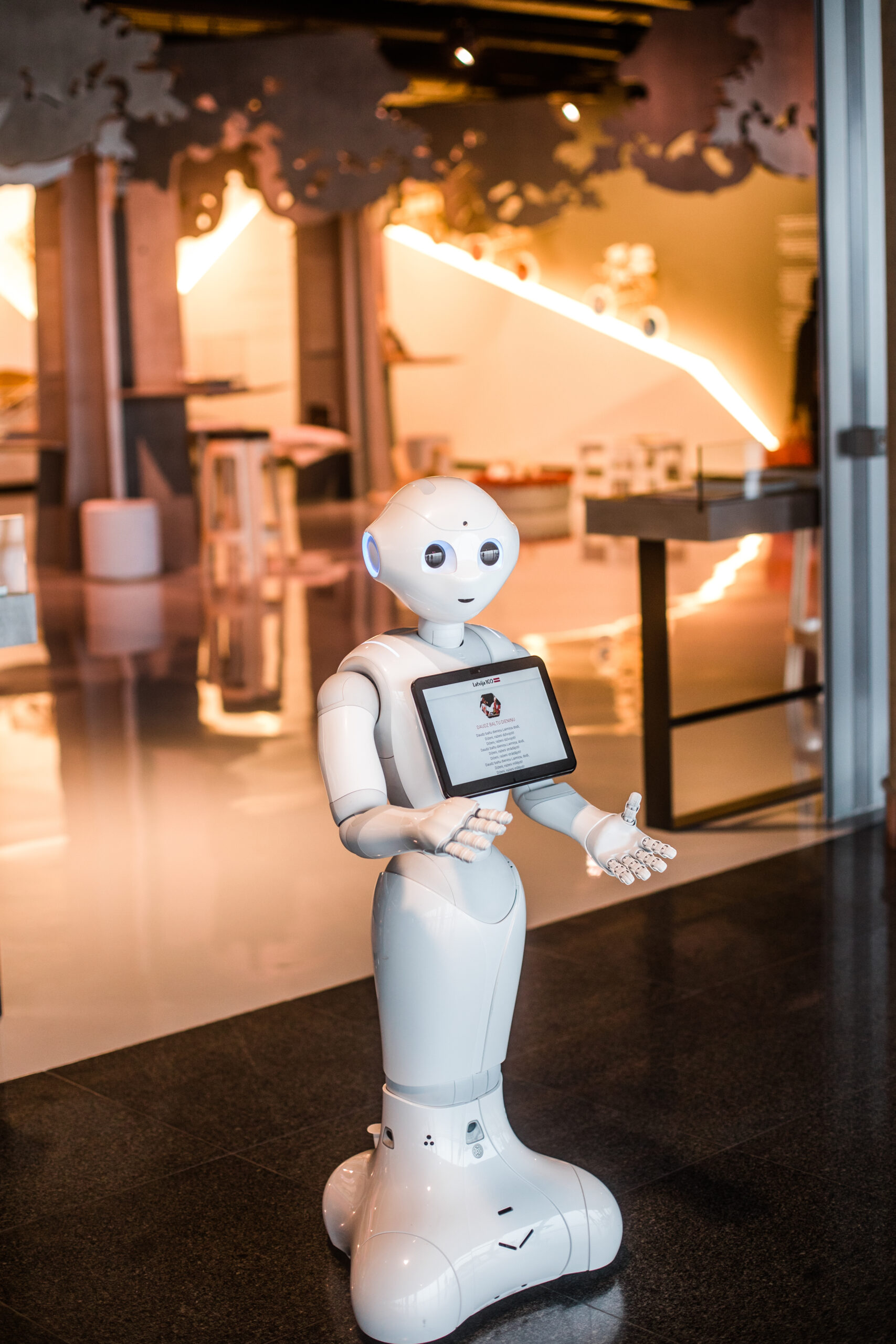 A Service Robot in a Retail Business